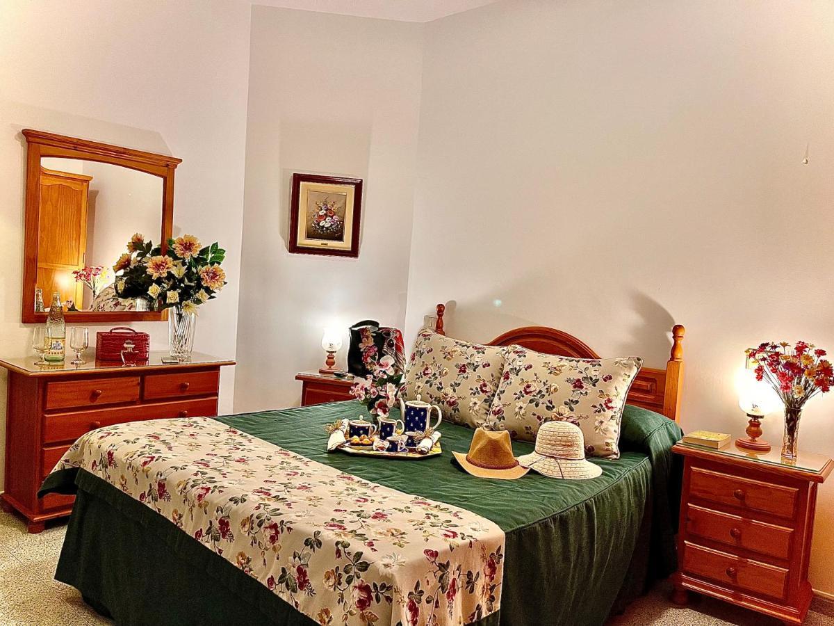 Emycanarias Holiday Homes Vecindario 베신다리오 외부 사진